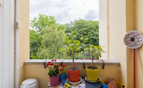 Appartementsgebouw te koop in Schaarbeek