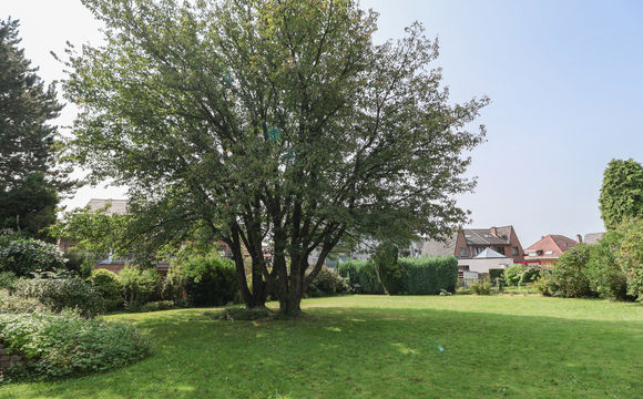 Bungalow à vendre a Sterrebeek